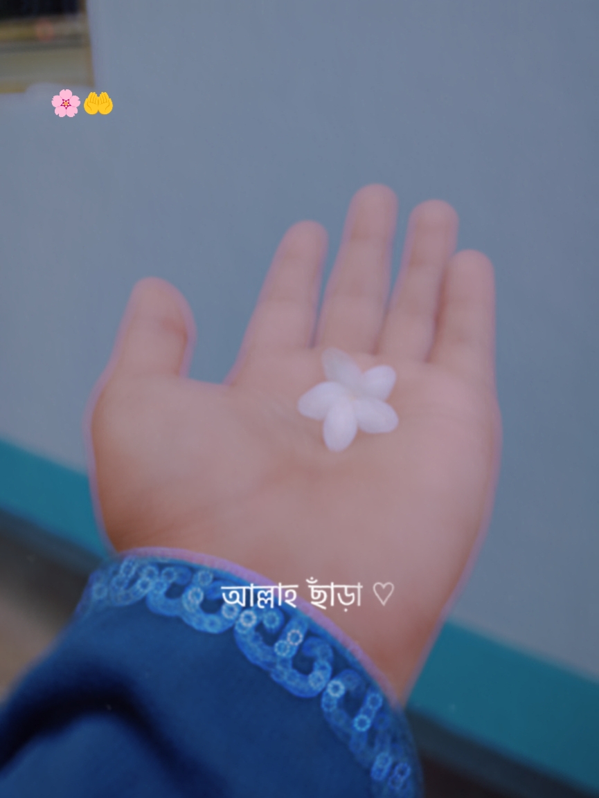 আল্লাহ ছাড়া কেউ 