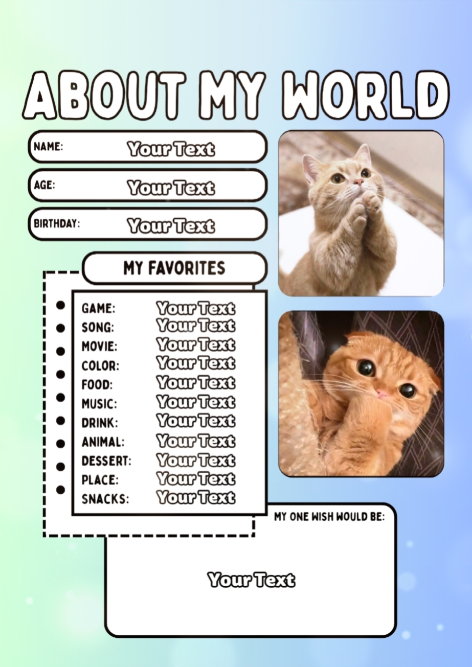 kedi kedi kedi