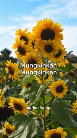 Mungkinkah