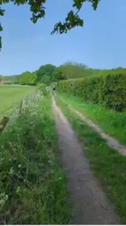 Cantering on hacks🔛🔝