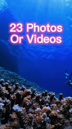 23 Video Slides