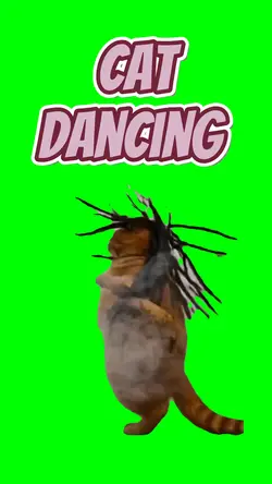 Cat dancing 