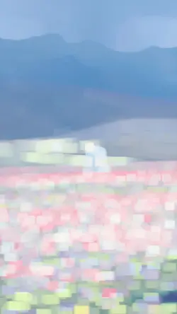 Slowmo filter