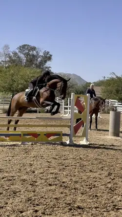 Jumper turns🔥FAKE‼️AI