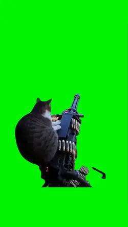 mini gun cat