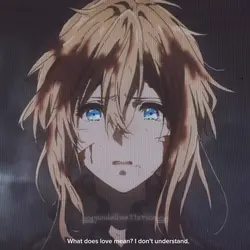 Violet evergarden🟣