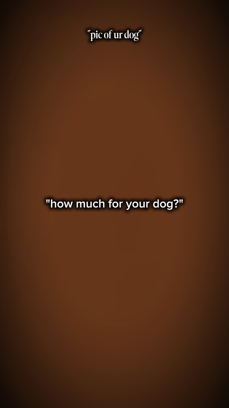 MEIN HUND?