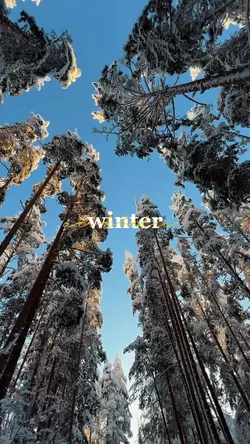 winter vlog