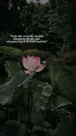 1 video slow
