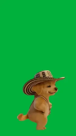 Bailecito 