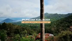 PERASAAN ALAM