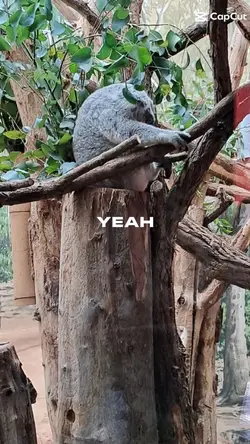 End of the year 2025