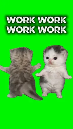 WORK WORK WORK