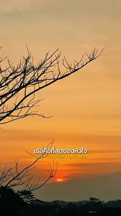 ลูกพีช - บอล x ลูกพีช