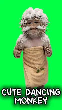 CUTE DANCING MONKEY