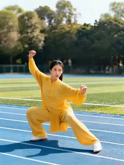 Ai kungfu taichi