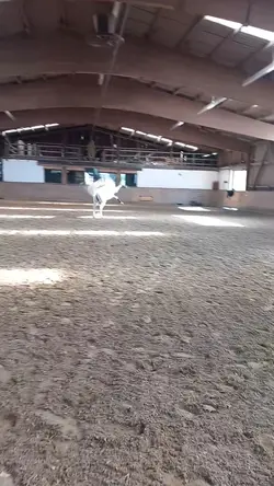 Smooth Slowmo💞