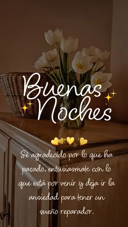 buenas noches 