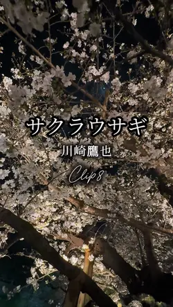 サクラウサギ🌸川崎鷹也