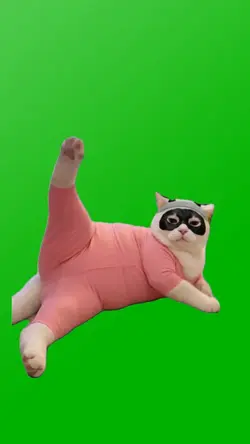 FLEXING CAT MEME