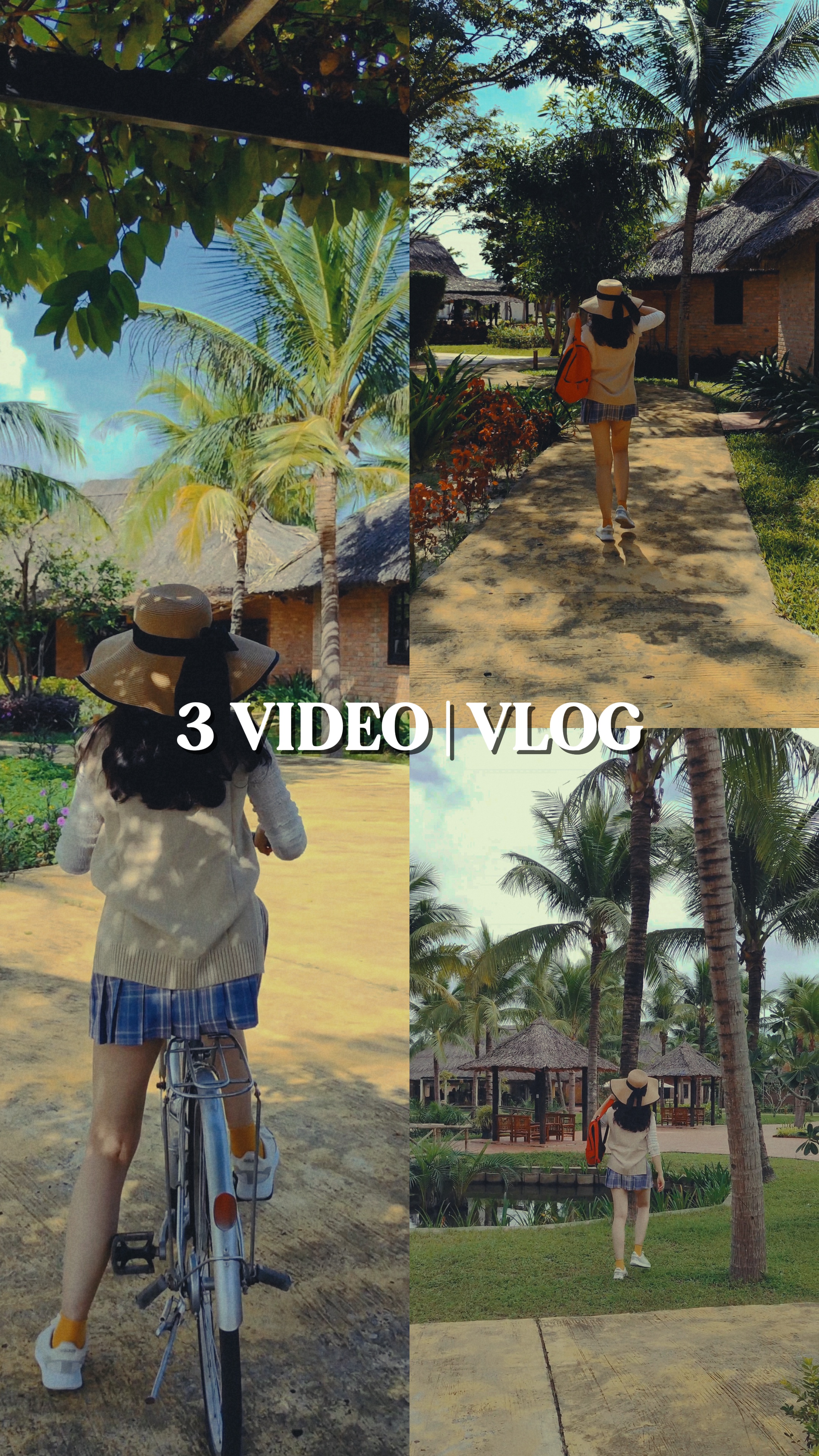 3 비디오 | VLOG