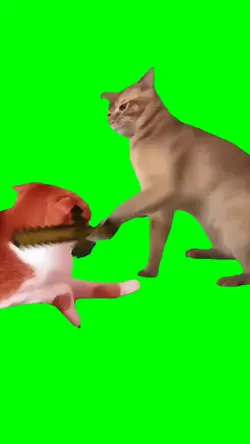 Minecraft Cat Fight