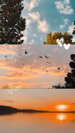 sky & sunset