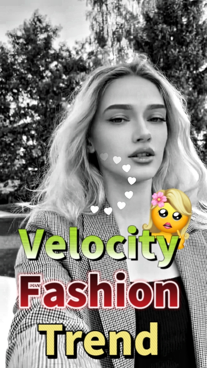 Velocity Fashion