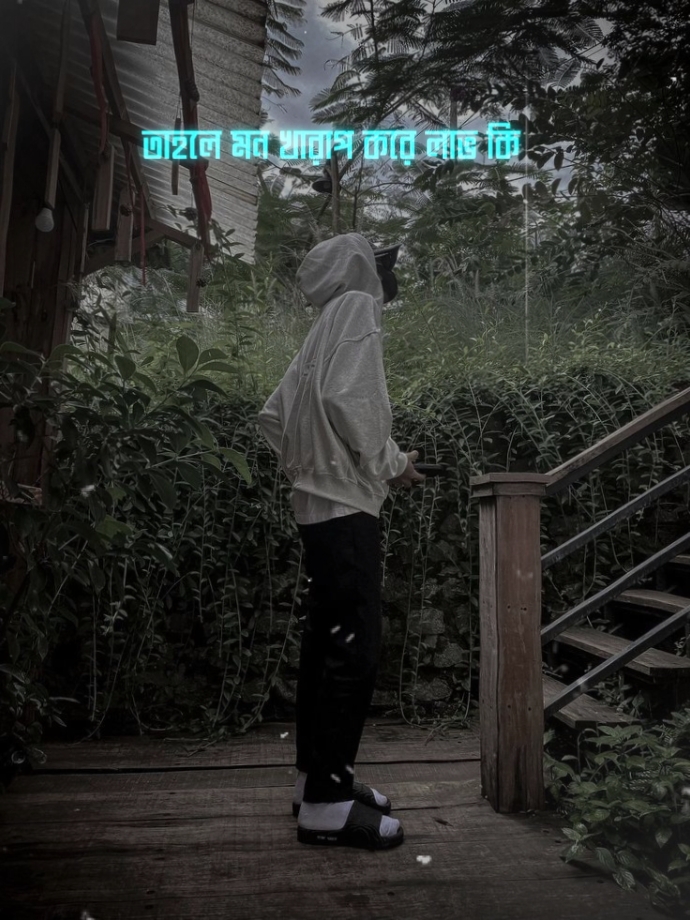 Cover Picture
