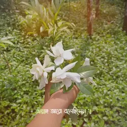 সুবহানাল্লাহ..!! 