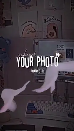meme template