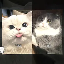 เราก็รู้จักกันมานานแล้วเนอ