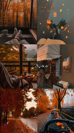autumn vibes