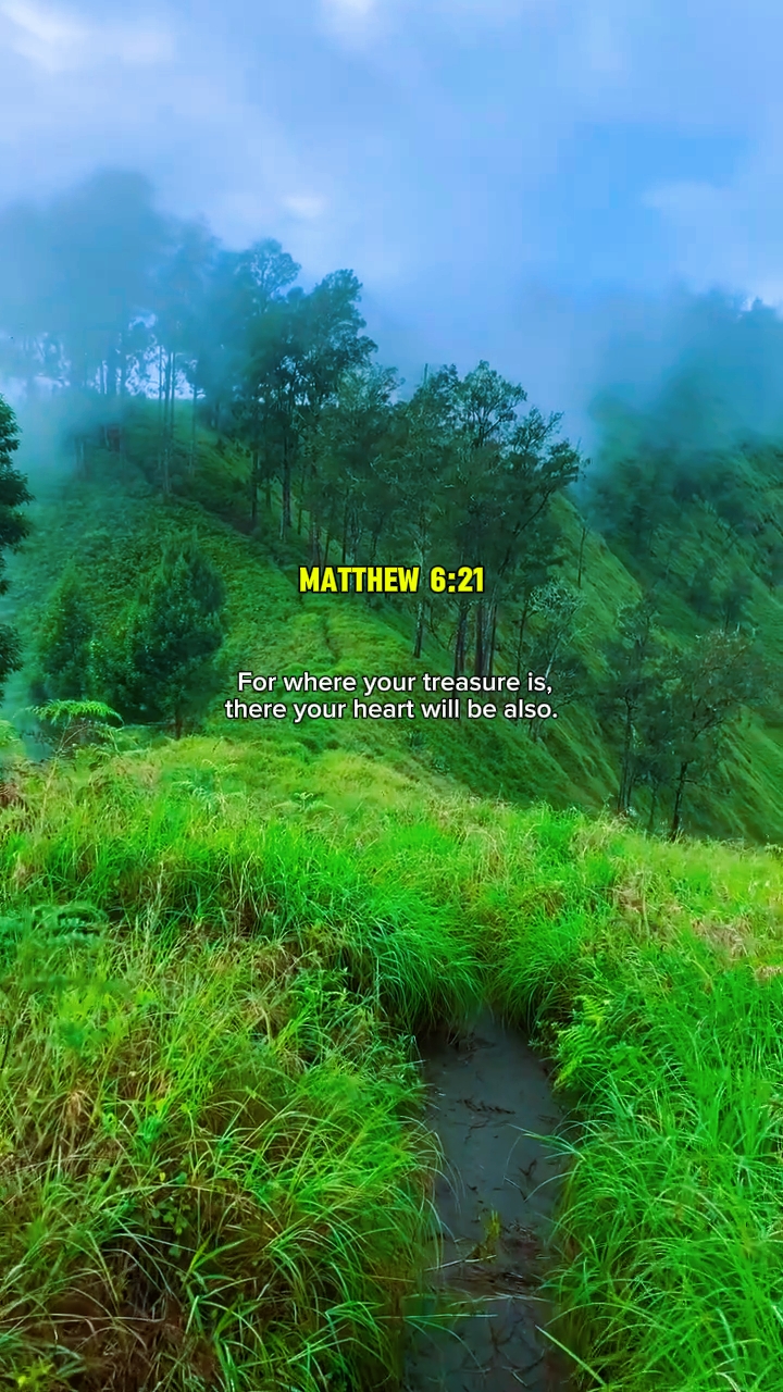 bible verse 