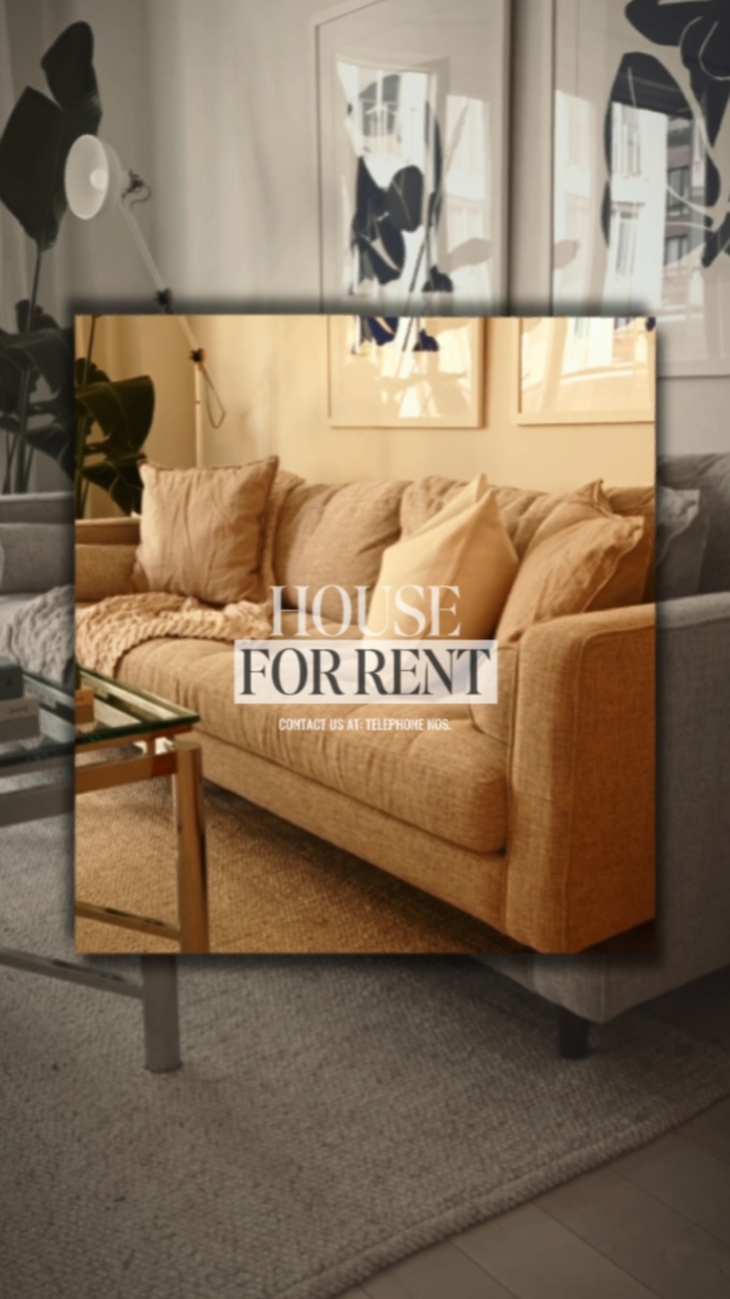 Immobilier 