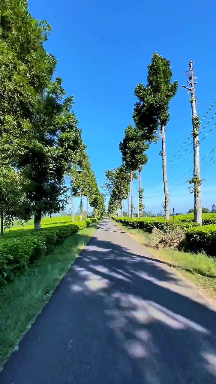 8 video road trip