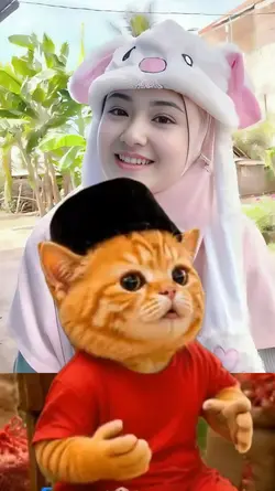 trend kucing lucu