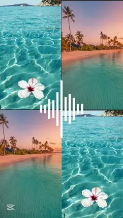 L’été arrive bientôt