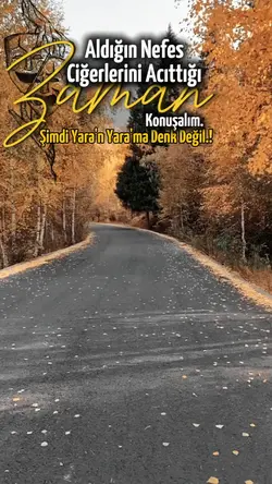 Trend Şablon Yayında