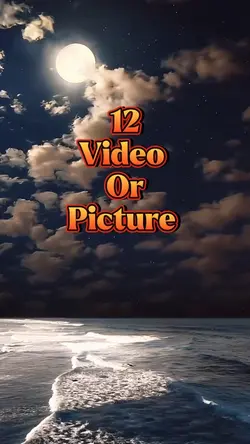 12 video or picture 
