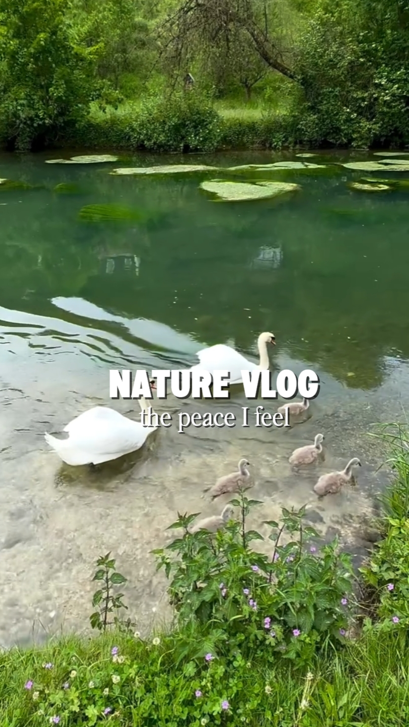 Nature vlog