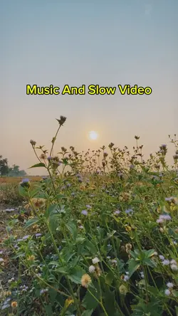Music And Slow Video