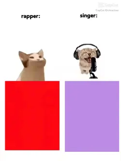 Singer rapper