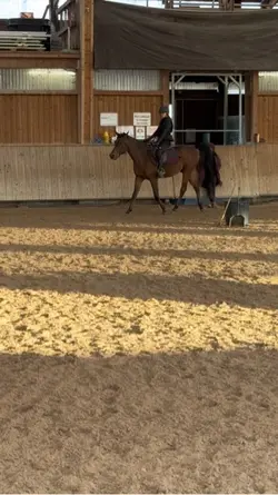 Fall in love 🪽🌟🪼