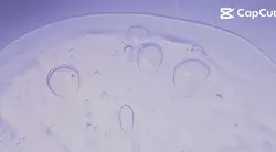 페이드아웃