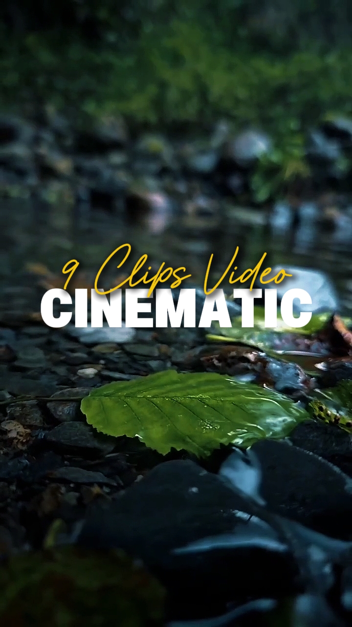 9 Clips de Video 