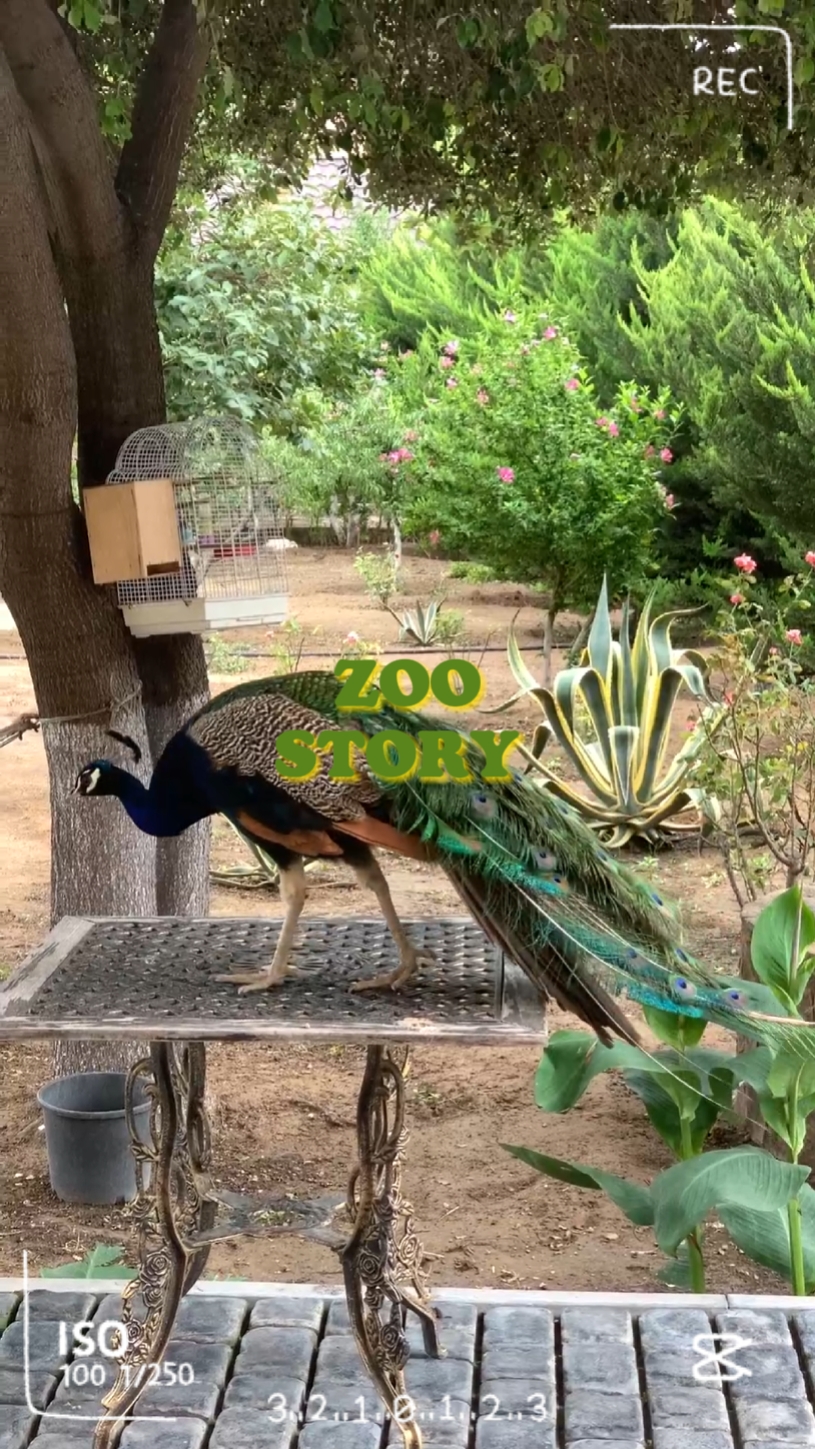 Histoire du zoo