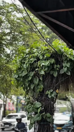 HIDUP BKN PERLOMBAAN