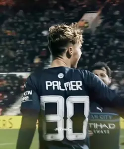 Cold 🥶 Palmer Edit