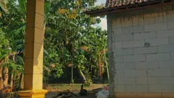 denok lyric